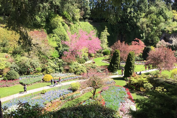 Butchart Gardens