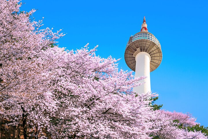 N Seoul Tower (Namsan Tower) Observatory Ticket South Korea
