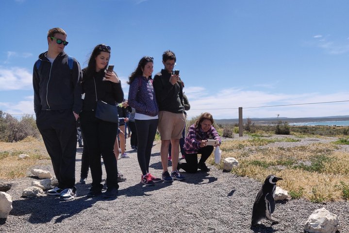 PUNTA TOMBO SHORE EXCURSION PUERTO MADRYN PATAGONIA ARGENTINA