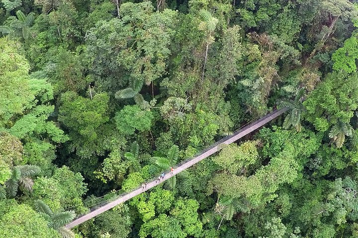 Mistico Park Hanging Bridges