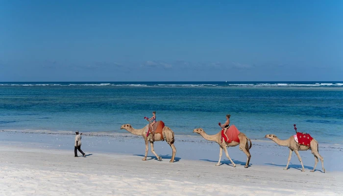 Safari si plaja in Kenya - Diamonds Leisure Beach & Golf Resort 4* by Perfect Tour