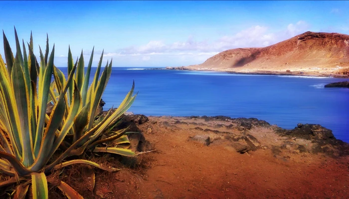 Sejur cu Familia în Tenerife & Gran Canaria, martie 2025 (10 zile / 9 nopți) by Perfect Tour