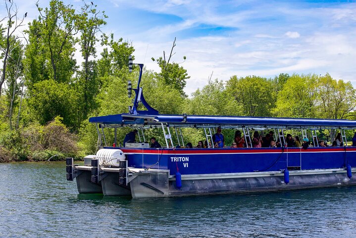 The Triton VI