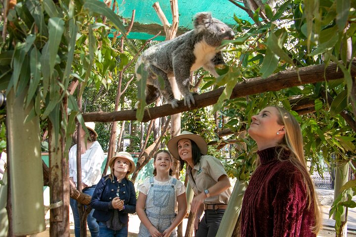 Learn about wildlife conservation