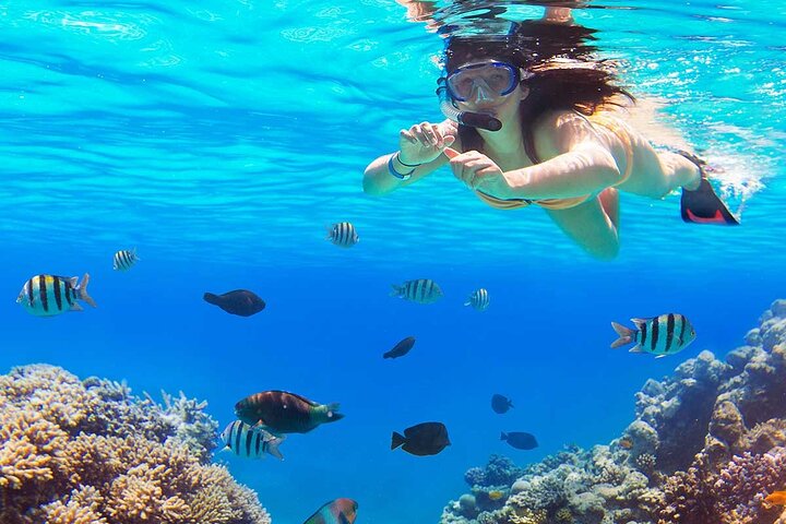 Unforgettable Marsa Mubarak Snorkeling Trip & Lunch – Marsa Alam