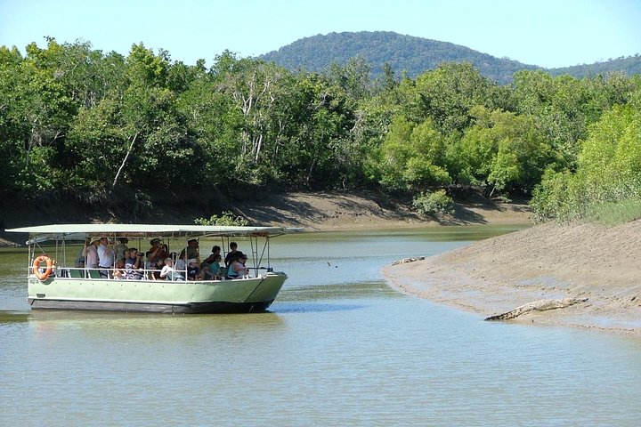 Croc Watching - Proserpine River