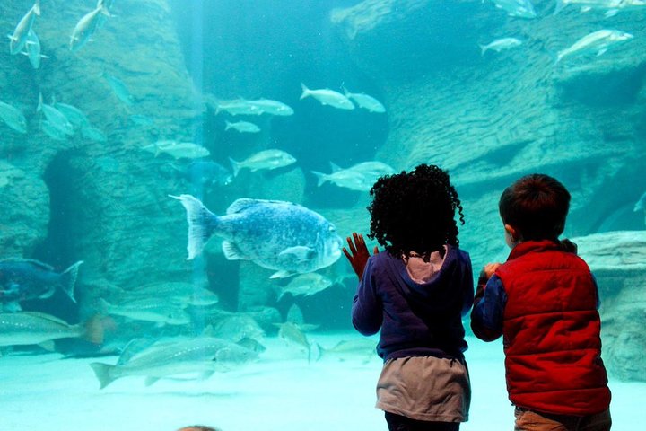 Family fun with kids