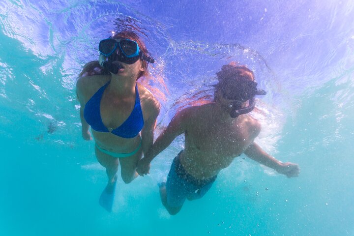 Snorkel with the manta rays, whale sharks and more