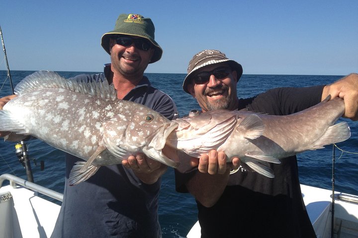 A nice pair of Rankin Cod