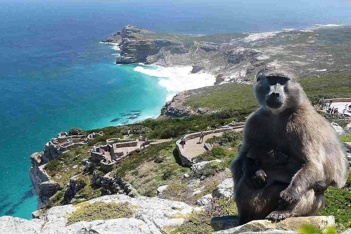 cape of good hope private tour in a private car