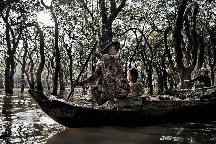 flooded forests