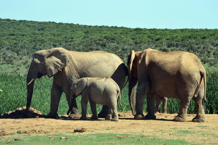 Enjoy the beautiful SA scenery while on safari 