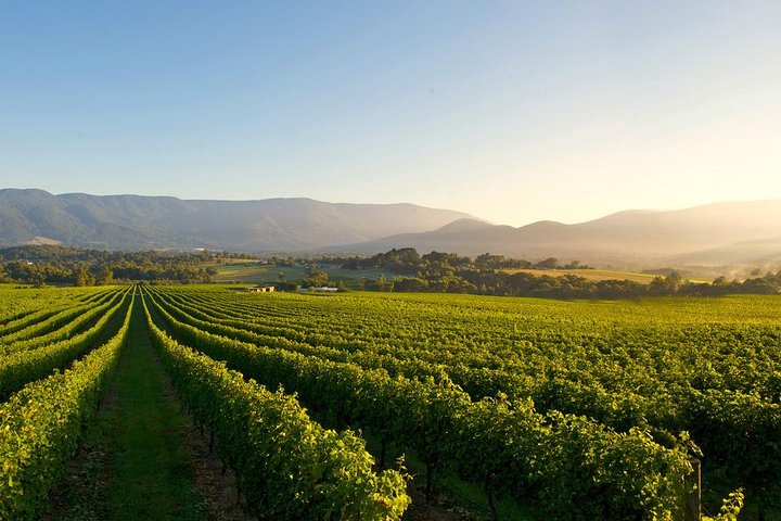 The Yarra Valley