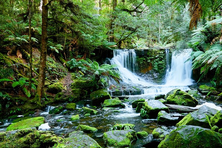 Russell fall.