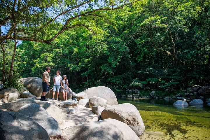 Guided rainforest walk at Mossman Gorge