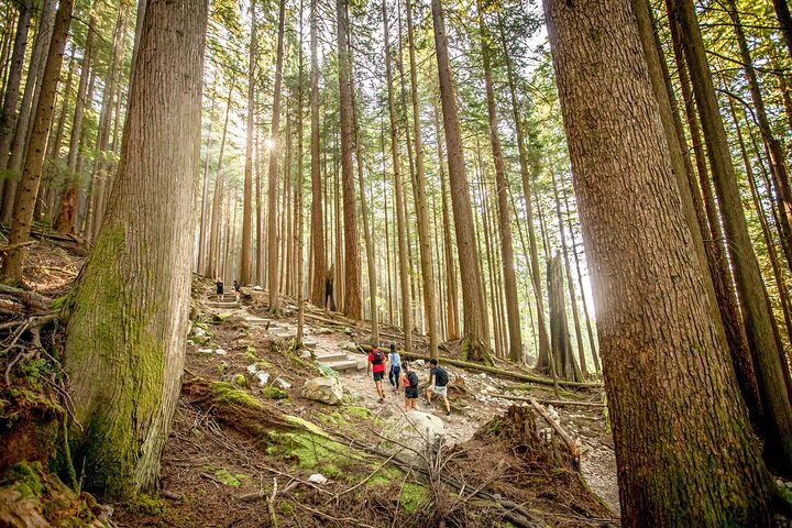 Hike the Grouse Grind Trail (2.5km/1.55miles)