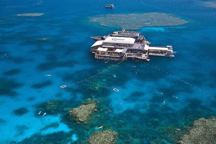 Quicksilver Outer Great Barrier Reef Snorkel Cruise from Palm Cove
