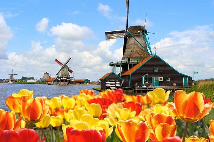 See the famous windmills of Holland