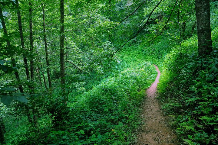 Hiking trail