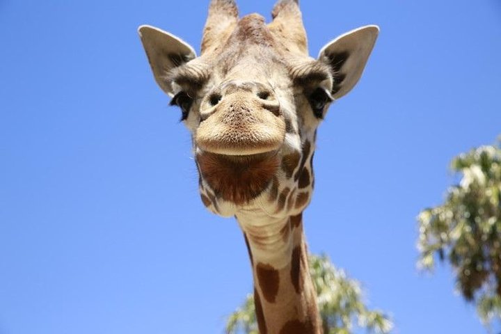 Melbourne Zoo
