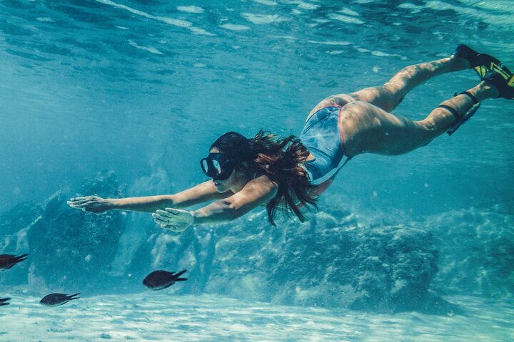 Ras Mohamed & White Island, Snorkel and Dive - Sharm el sheikh