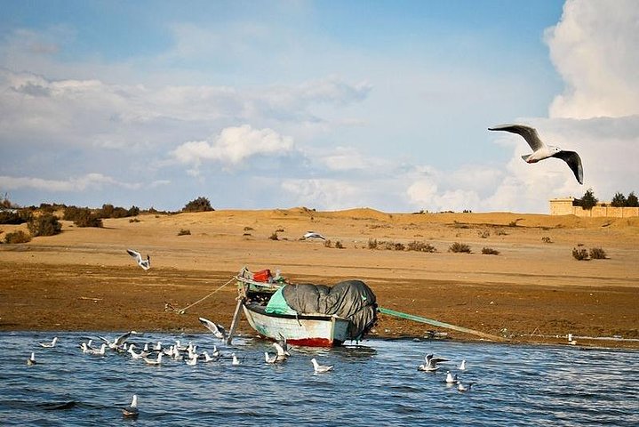 Fayoum, day tour fayoum oasis, day trip fayoum oasis