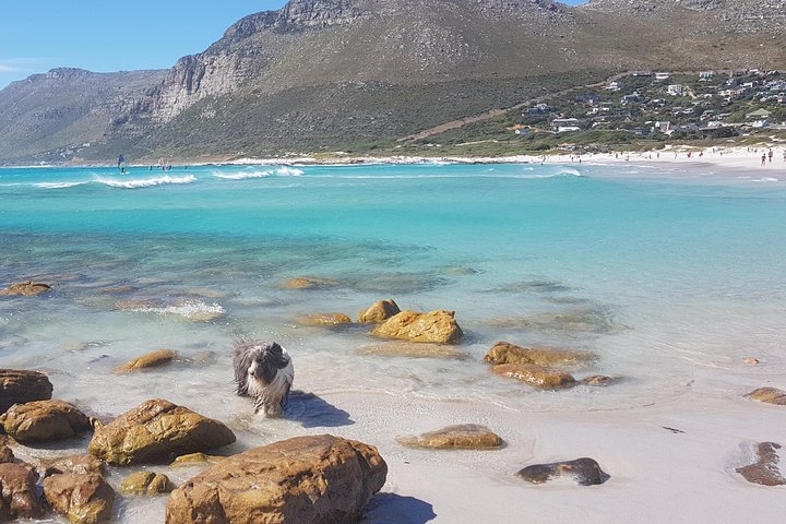 One of the secret beaches in Cape Town.
