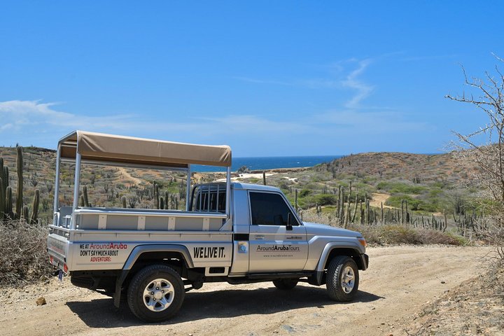 Aruba Outback Safari Tour 