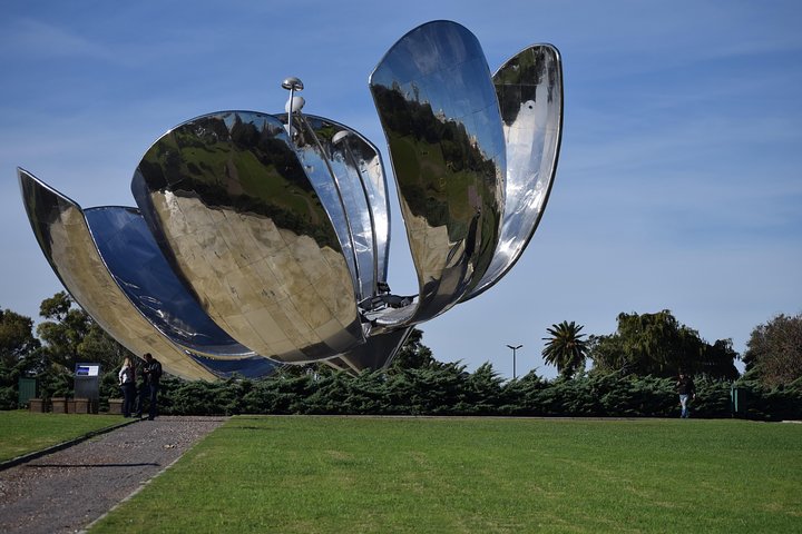 Floralis generica