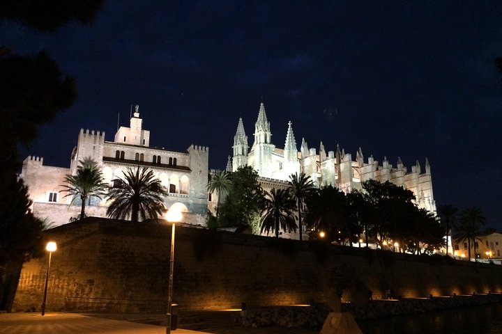 Palmas cathedral in the night