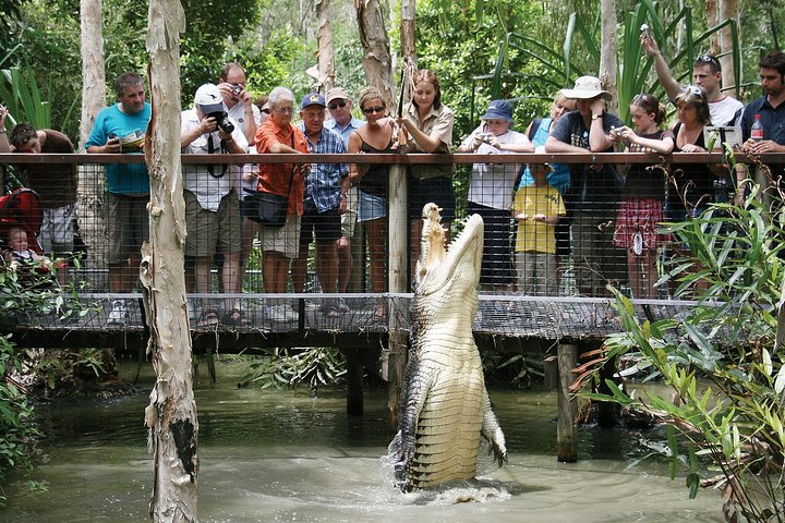 Hartley's Crocodile Adventures is the best place to see crocs in Far North Queensland!