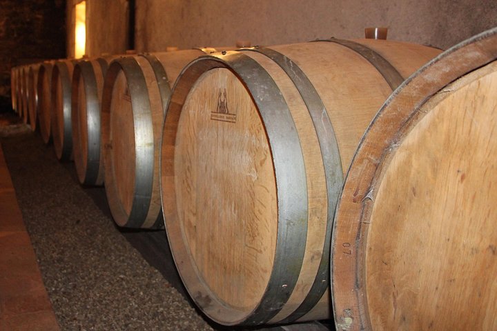 Barrel house in Anjou, Coteaux du Layon