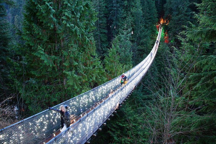 Capilano Suspension Bridge - Canyon Lights