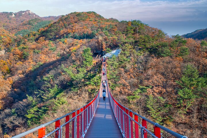 Full Day DMZ with Red Suspension Bridge Tour from Seoul